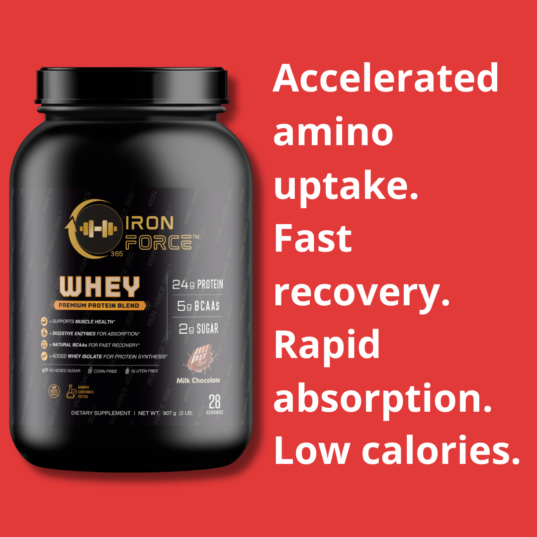 Muscle Building Bundle